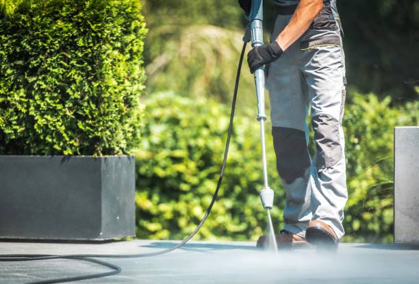 Best Fence Cleaning  in Lake Sherwood, CA