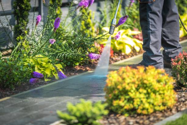 Animal Enclosure Cleaning in Lake Sherwood, CA